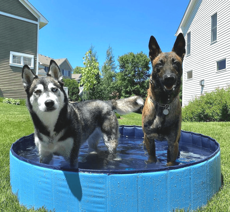 Foldable Pet & Kids Pool - usaclicknbuy.com