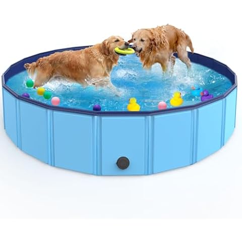 Foldable Pet & Kids Pool - usaclicknbuy.com
