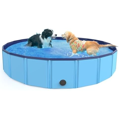 Foldable Pet & Kids Pool - usaclicknbuy.com
